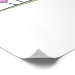 Corner