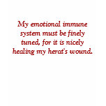My emotional immune system must be finely tuned... t-shirts