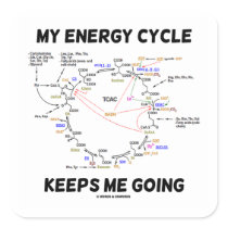 My Energy Cycle Keeps Me Going (Krebs Cycle) Square Sticker
