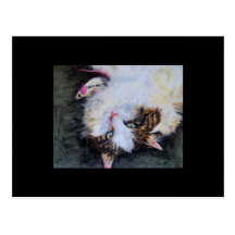 My Favourite Toy (cat) ACEO Art Trading Card Postcard