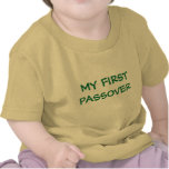 MY FIRST PASSOVER  INFANT TODDLERT SHIRT OR ONESIE