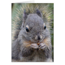 My Friend Fuzzy Greeting Card
