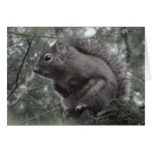 My Friend Fuzzy Greeting Card