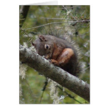 My Friend Fuzzy Greeting Cards