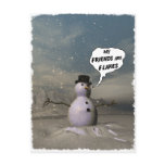 My Friends Are Flakes Postcard