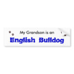 My Grandson is an English Bulldog Bumper Stickers
