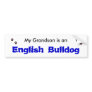 My Grandson is an English Bulldog Bumper Stickers