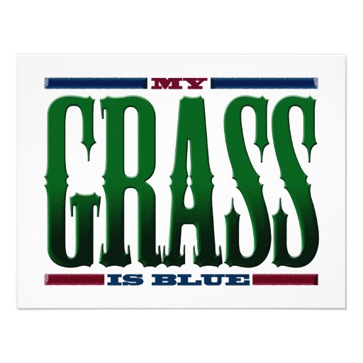 "My Grass Is Blue" Announcements