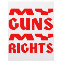 My Guns My Rights Flyer