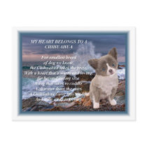 My heart belongs to a Chihuahua poem Postcard