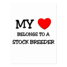 My Heart Belongs To A STOCK BREEDER Post Cards
