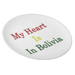 My Heart Is In Bolivia Party Plates