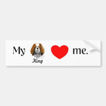 My king Loves me Bumper Sticker