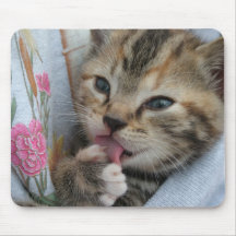 my kitten mouse mats