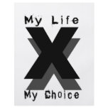 my life my choice flyers