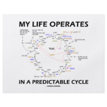 My Life Operates In A Predictable Cycle (Krebs)