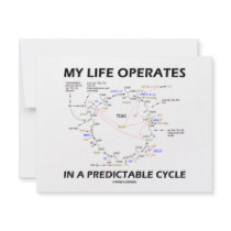 My Life Operates In A Predictable Cycle (Krebs)
