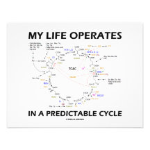 My Life Operates In A Predictable Cycle (Krebs) Personalized Invitations