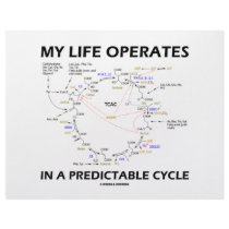 My Life Operates In A Predictable Cycle (Krebs)