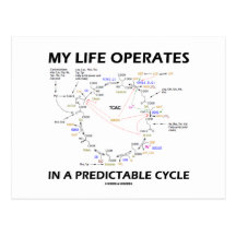 My Life Operates In A Predictable Cycle (Krebs) Postcards