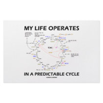 My Life Operates In A Predictable Cycle (Krebs)