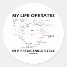 My Life Operates In A Predictable Cycle (Krebs) Sticker