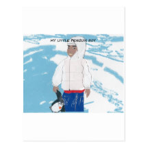 My Little Penguin Boy Postcard