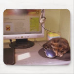 My little ZAZZLE fan Mouse Pads