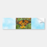 My Monarch Butterfly-bumper sticker