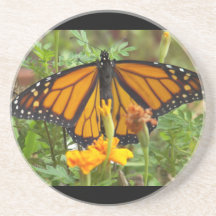 My Monarch Butterfly-coaster