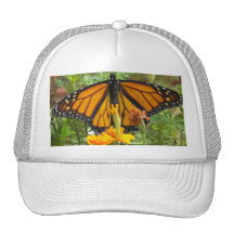 My Monarch Butterfly-hat