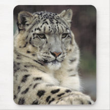 My Mouse... Mousepads