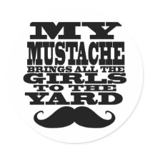 My moustache brings all the girls