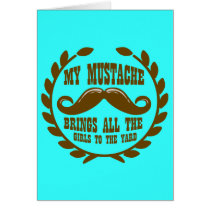 My Moustache Brings all the Girls to the Yard