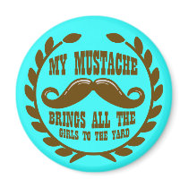 My Moustache Brings all the Girls to the Yard