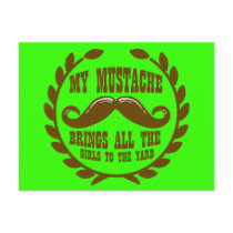 My Moustache Brings all the Girls to the Yard