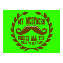 My Moustache Brings all the Girls to the Yard Post Card