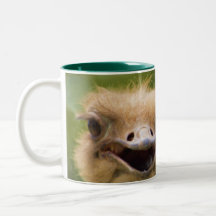My Mug Ostrich