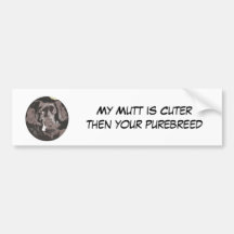 My Mutt is Cuter then your purebreed Bumper Sticker