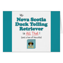My Nova Scotia Duck Tolling Retriever is All That! Cards