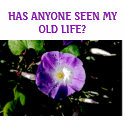 MY OLD LIFE - shirt