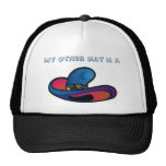 My Other Hat