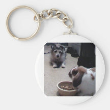 My pets keychain
