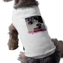 My pets pet clothing