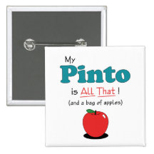 My Pinto is All That! Funny Horse