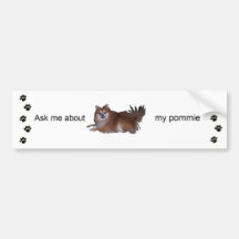 my pommie, ... bumper stickers