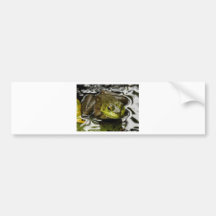 My Prince Bumper Sticker