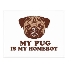 My Pug is my Homeboy Postcard