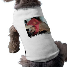 My rain protection doggie t shirt