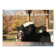 My Ray of Sunshine Thank you Card